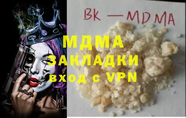 шишки Белокуриха